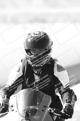 media/Feb-22-2025-2WTD (Sat) [[0e5b3c00f9]]/Around the Pits/